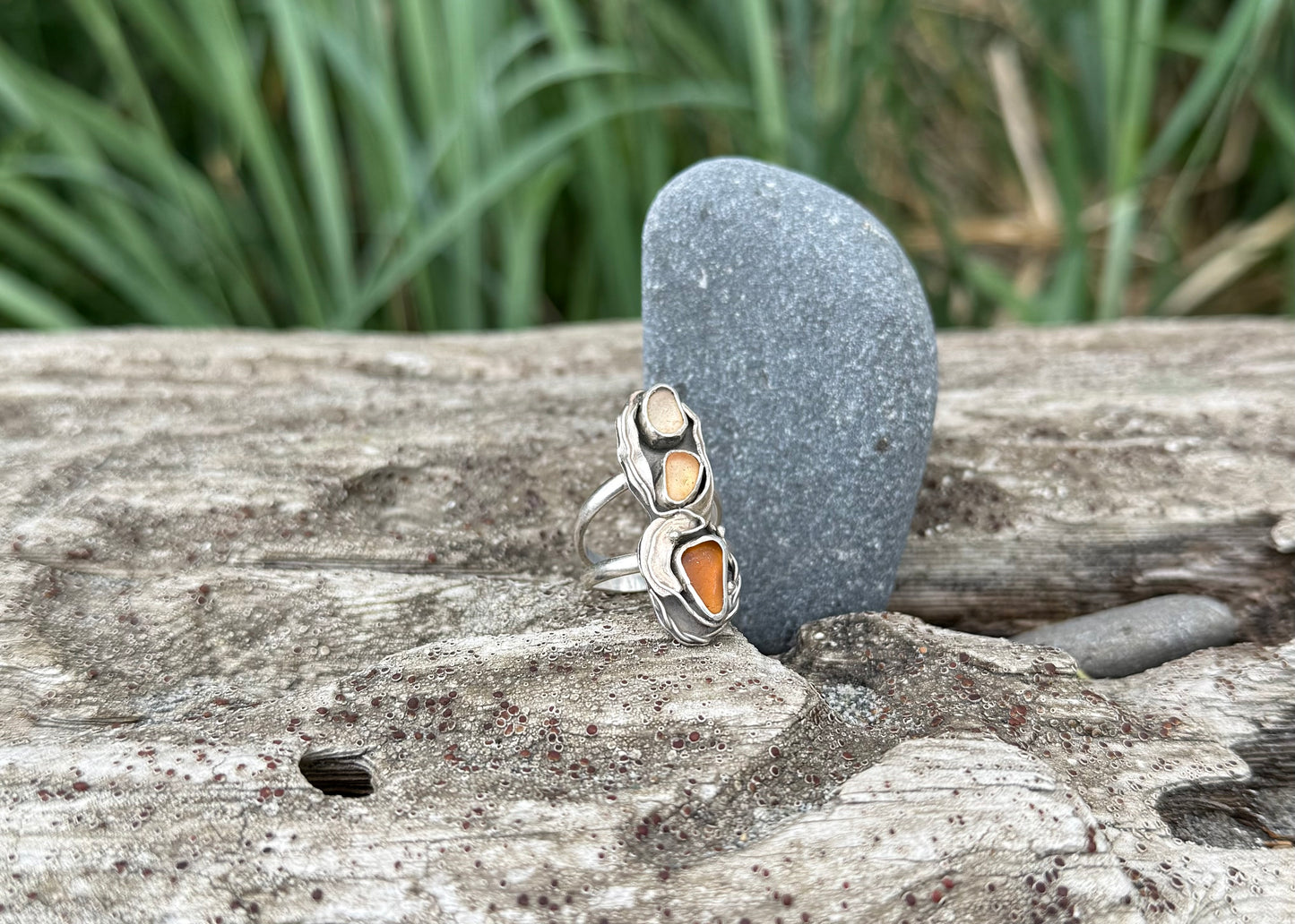 Driftwood
