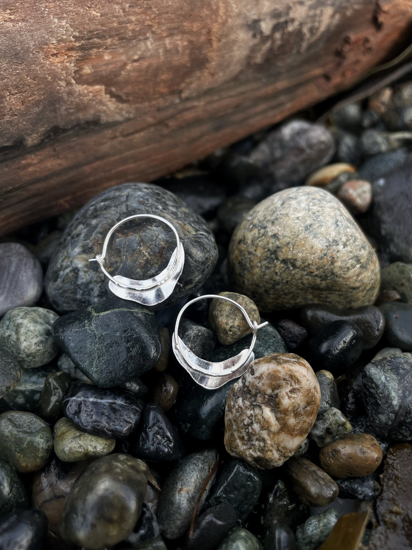 Eelgrass Hoops
